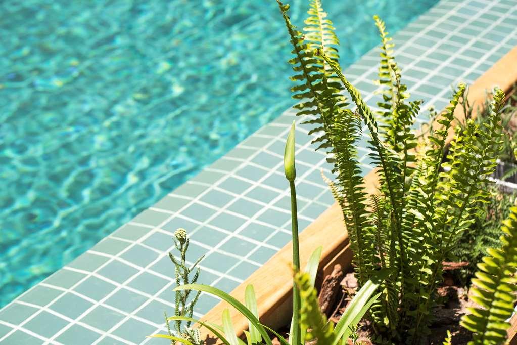 Hotel Costanero Montevideo - Mgallery מתקנים תמונה
